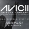 Avicii Tribute Concert 2019